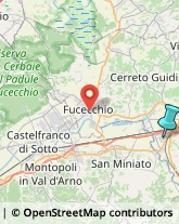 Feste - Organizzazione e Servizi,50053Firenze