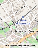 Traversa Terza San Michele, 64,80063Piano di Sorrento