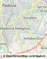 Via Pietro Bembo, 65,35124Padova