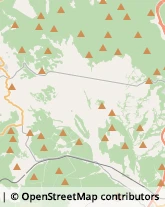 Aziende Agricole,58045Grosseto