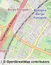 Via Francesco de Sanctis, 7/C,40132Bologna