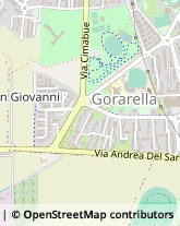 Via Papa Giovanni XXIII, 83,58100Grosseto