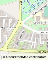 Viale Luigi Einaudi, 8,58100Grosseto