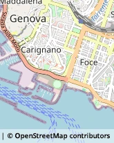 Via Atto Vannucci, 3/5/7,16128Genova