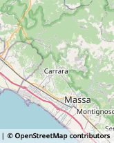 Frazione Bergiola, 55,54100Massa