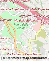 Viale Gino Cervi, 14,00139Roma