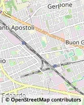 Autofficine e Centri Assistenza,21052Varese