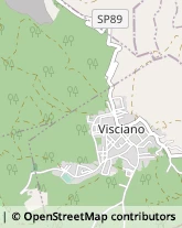 Via Giuseppe Garibaldi, 2,80030Visciano