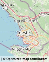 Otorinolaringoiatria - Medici Specialisti,34149Trieste