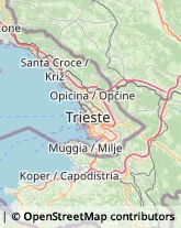 Otorinolaringoiatria - Medici Specialisti,34011Trieste