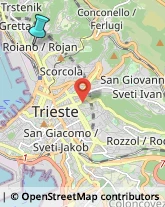 Istituti di Bellezza,34135Trieste