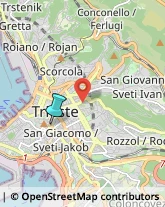 Scuole Pubbliche,34131Trieste