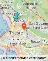 Falegnami,34134Trieste