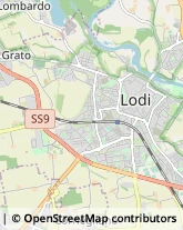 Via Secondo Cremonesi, 4,26900Lodi