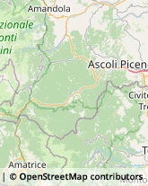 Via Elisabetta Trebbiani, 37,63100Ascoli Piceno