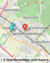 Palestre e Centri Fitness,50019Firenze