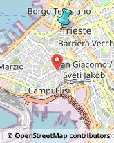 Agenti e Rappresentanti di Commercio,34122Trieste