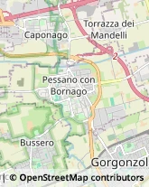 Via delle Gerole, 17,20867Caponago