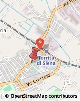 Via Marche, 4,53049Torrita di Siena