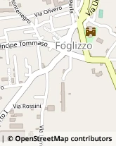 Via Principe Tommaso, 26,10090Foglizzo