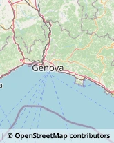 Liquori - Vendita,16044Genova