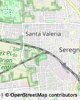 Mobili,20831Monza e Brianza