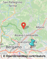 Carne - Lavorazione e Commercio,24066Bergamo