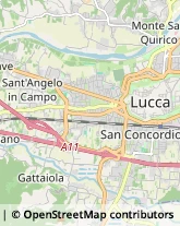 Assicurazioni,55100Lucca