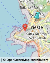 Ricerca Scientifica - Istituti,34134Trieste