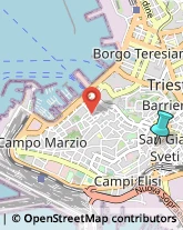 Ricerca Scientifica - Istituti,34144Trieste