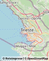 Impianti Sportivi,34148Trieste