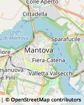 Agenti e Rappresentanti di Commercio,46100Mantova