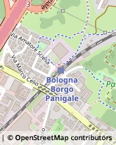 Via Marco Celio, 19,40132Bologna