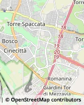 Via Francesco Antolisei, 6,00173Roma