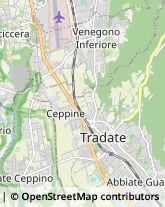 Via Domenico Cimarosa, 6,21049Tradate