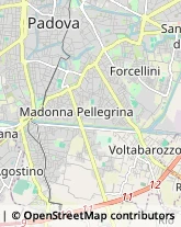 Via Cavazzana, 29,35123Padova