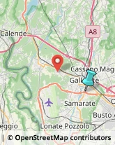 Palestre e Centri Fitness,21013Varese