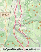 Trasporti Internazionali,40035Bologna