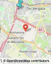 Impianti Sportivi,00133Roma