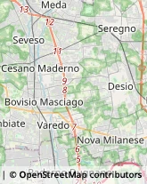 Palestre e Centri Fitness,20813Monza e Brianza