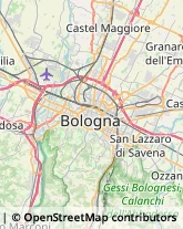 Via Francesco Zanardi, 391/3,40131Bologna