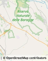 Giardinaggio - Servizio,13874Biella