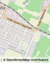 Viale Dante Alighieri, 50,48024Massa Lombarda