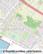 Via Firenze, 32,54033Carrara