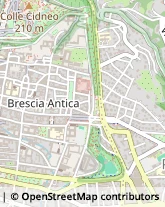 Agenzie di Animazione e Spettacolo,25121Brescia