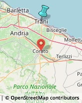 Articoli per Neonati e Bambini,76125Barletta-Andria-Trani