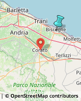 Articoli Sportivi - Dettaglio,76011Barletta-Andria-Trani