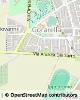 Viale Luigi Einaudi, 8,58100Grosseto