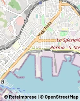 Imprese di Pulizia,19126La Spezia