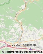 Via Fillungo, 249,55100Lucca